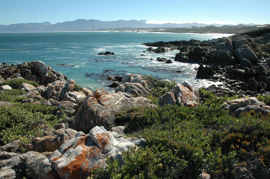 Cliff Lodge Gansbaai Eksteriør billede
