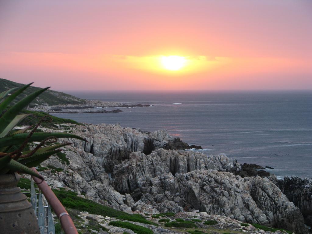 Cliff Lodge Gansbaai Eksteriør billede